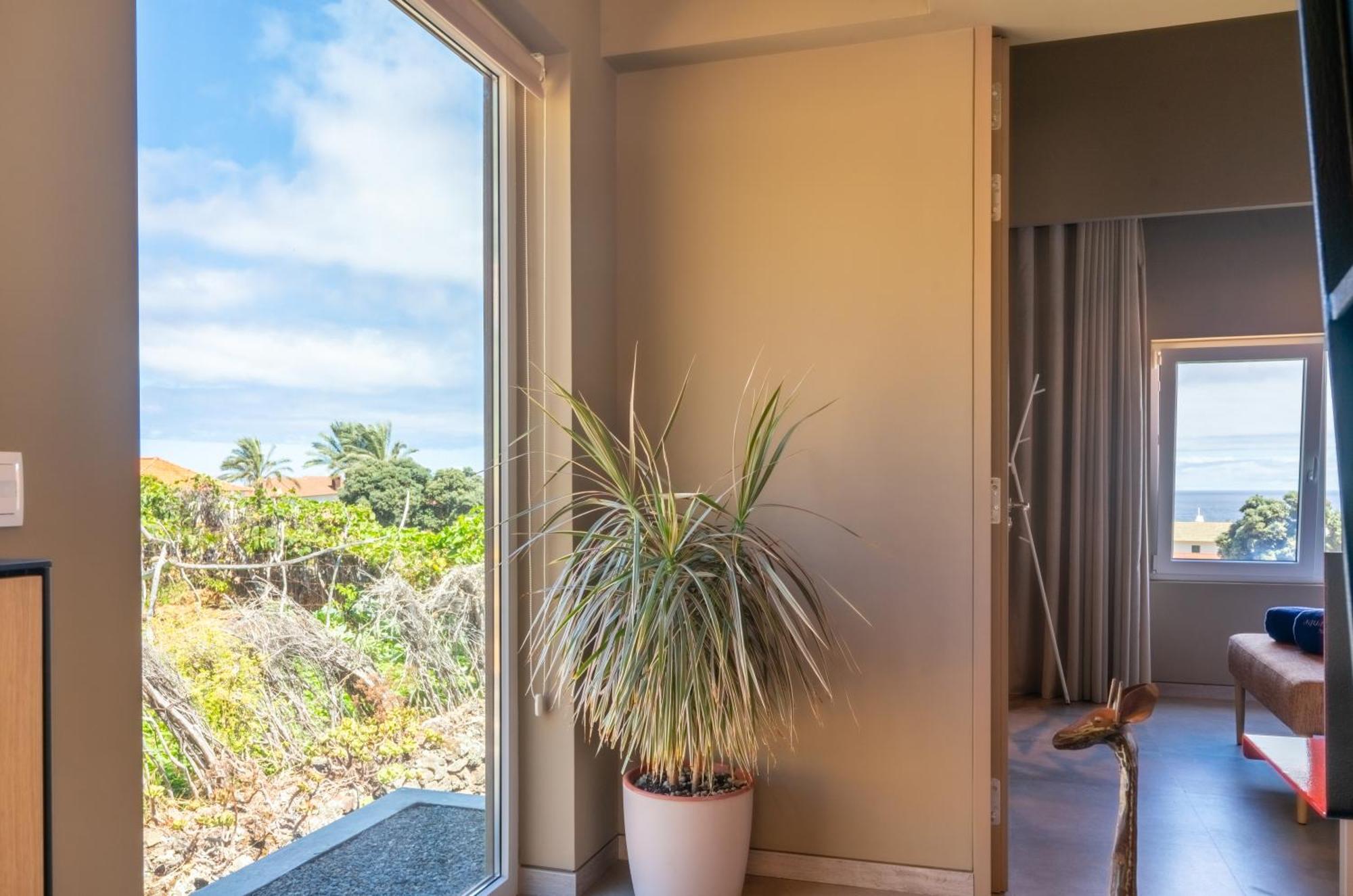 Doca Seca & Casca De Uva Villa Porto Moniz Eksteriør bilde